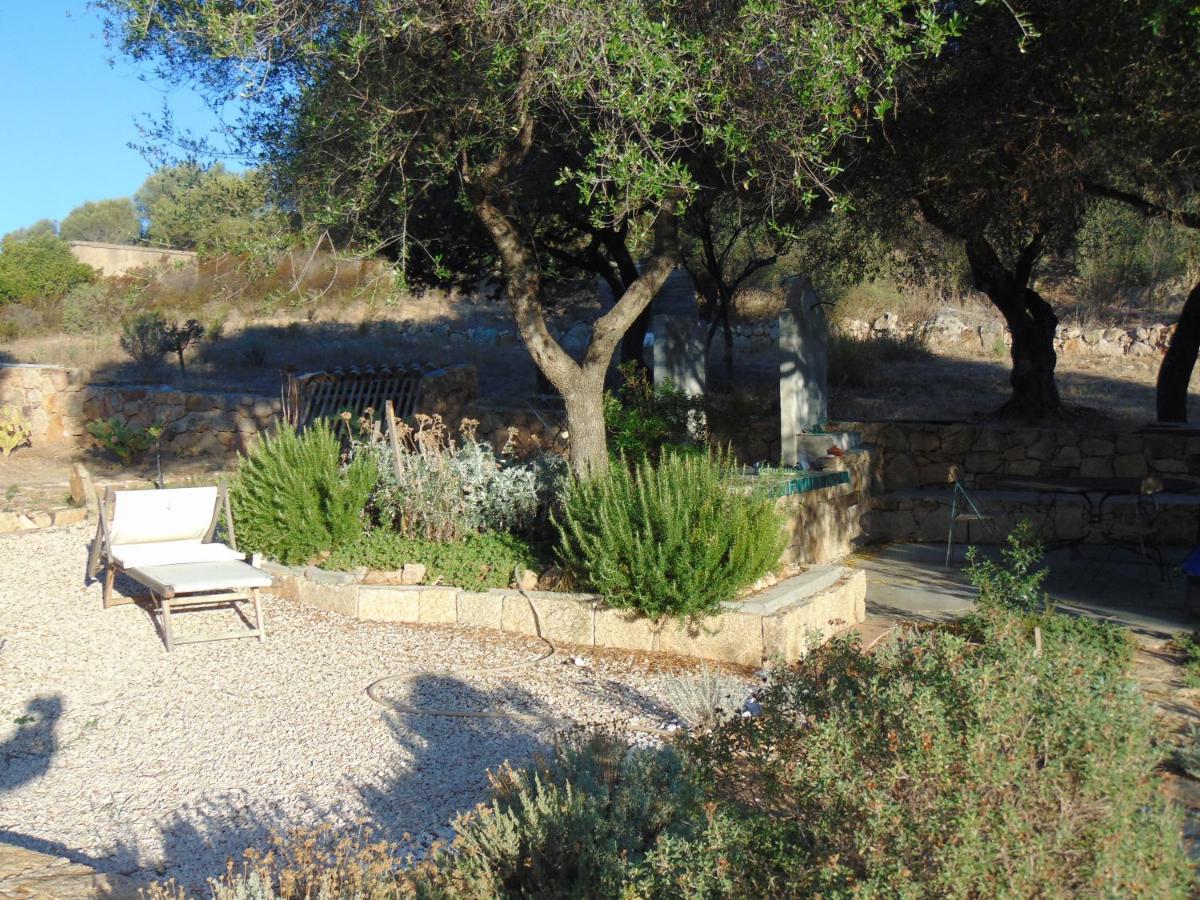 Villa Smeralda Olbia Buitenkant foto