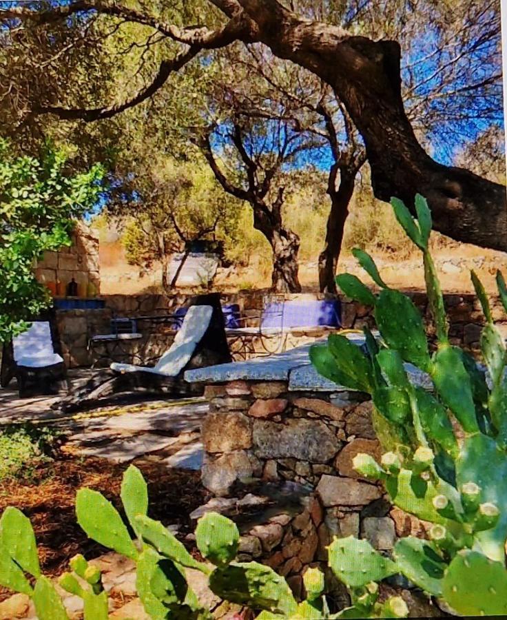 Villa Smeralda Olbia Buitenkant foto